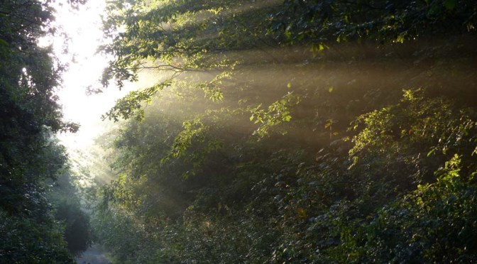 Hohenzollernweg 2: Haigerloch — Hechingen