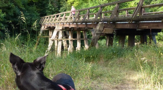 Hohenzollernweg 1: Glatt — Haigerloch