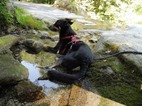 0$Images$33_103_PANAP1030326JPG