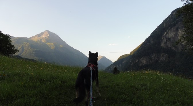 Via Gottardo 2: Erstfeld – Wassen