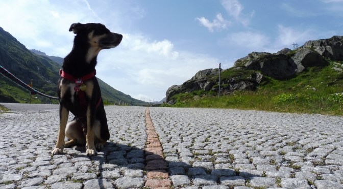 Via Gottardo 4: Andermatt — Gotthardpass