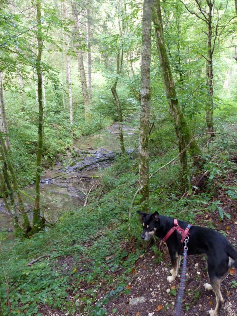 Felsquellweg-Oberdigisheim-12