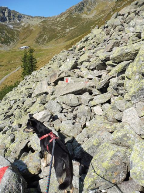 Alpenuberquerung-Fügen-Hohenfügen-36