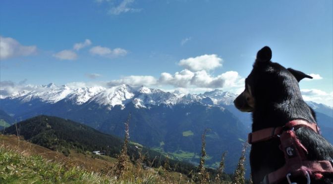 Luis‘ Jahresrückblick 2017, Teil 2