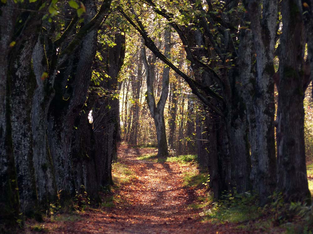 Balingen-Heuberg-Herbst-02