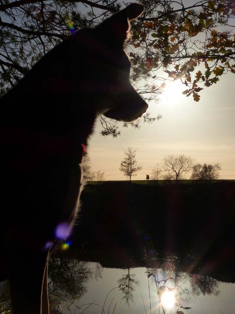 Balingen-Heuberg-Herbst-05