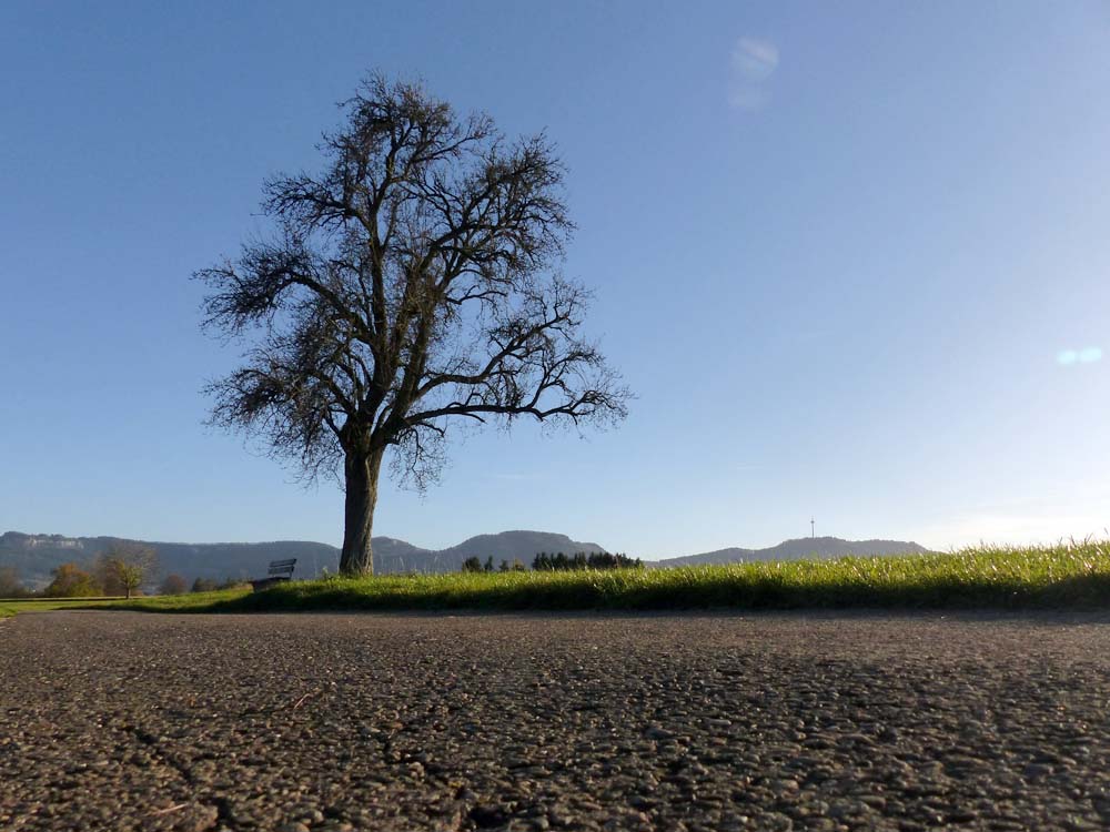 Balingen-Heuberg-Herbst-06