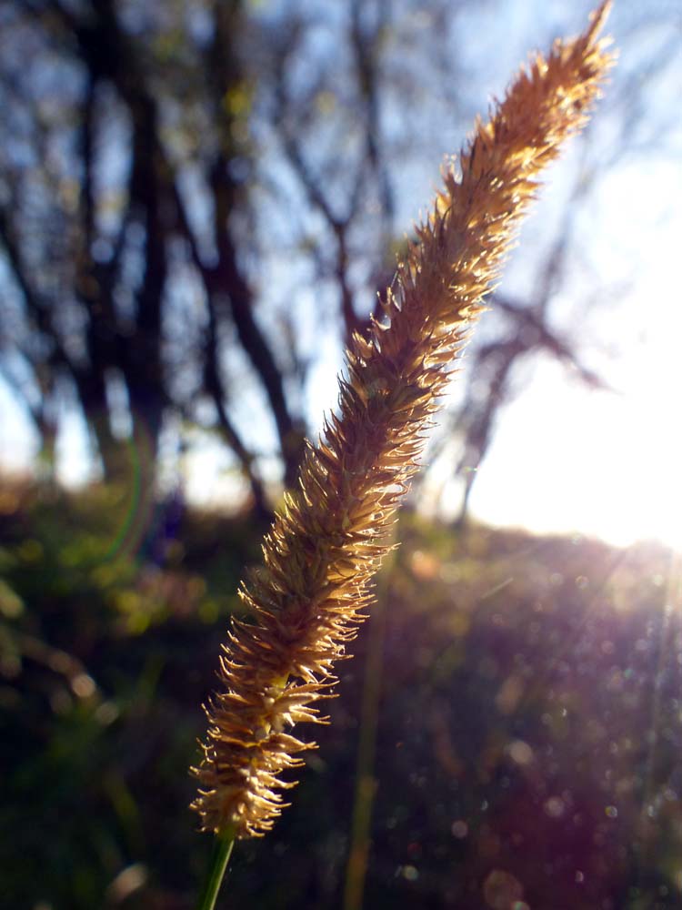 Balingen-Heuberg-Herbst-07