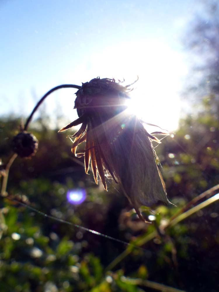 Balingen-Heuberg-Herbst-08