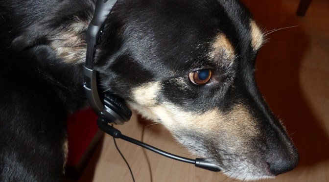 Schwarzwald-Querweg: Jetzt bist Du fällig!