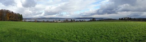 Schwarzwald-Querweg-Liggeringen-KN-16