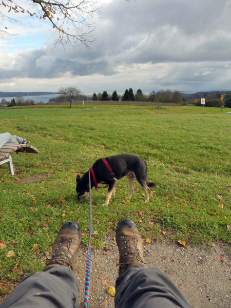 Schwarzwald-Querweg-Liggeringen-KN-18