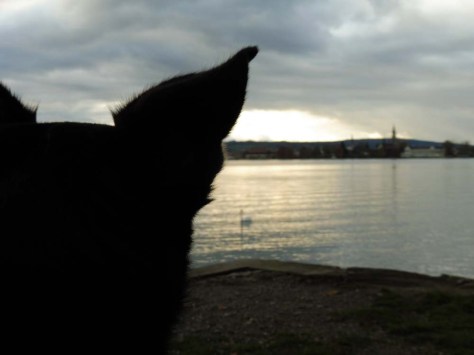 Schwarzwald-Querweg-Liggeringen-KN-30