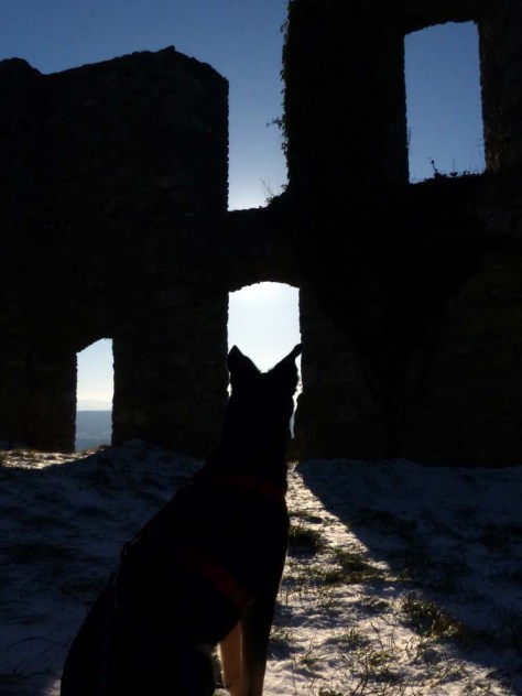 Hohentwiel-im-Winter-26