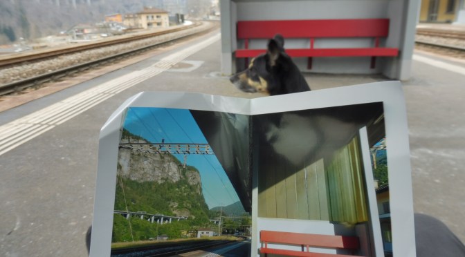 Via Cannobio 1: Faido — Lavorgo