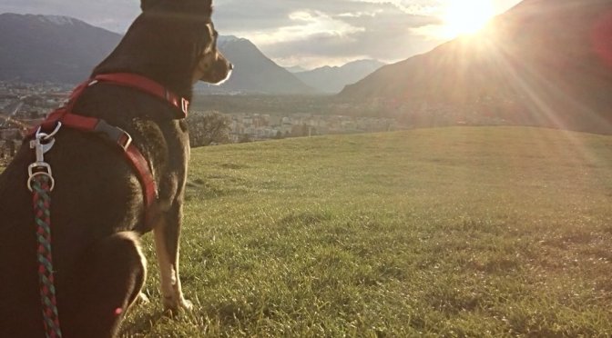 Luis‘ Jahresrückblick 2018, Teil 1