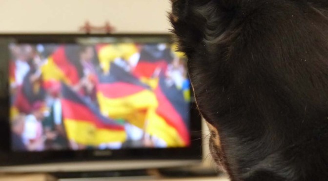 „Die Vorfreude ist riesig…“