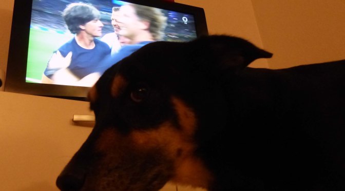 Luis enttäuscht: Richtig getippt und falsch verstanden