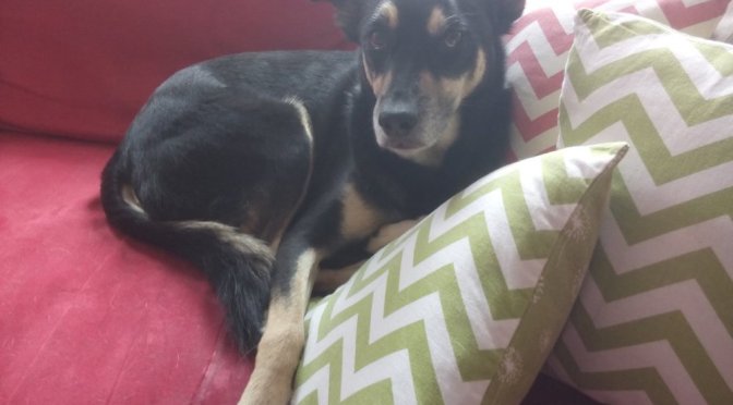 Das Spiel ist aus und einer aus dem Häuschen