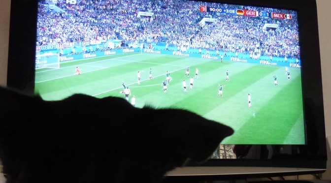 WM-Auftakt: Erster Sieg! [für Luis]