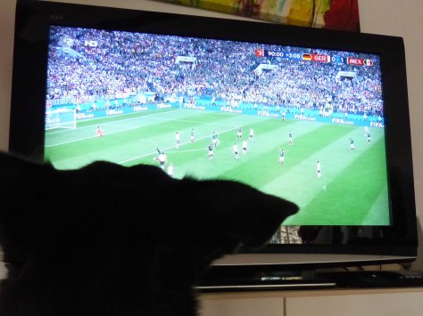 Luis-sagt-DEU-MEX-richtig-voraus