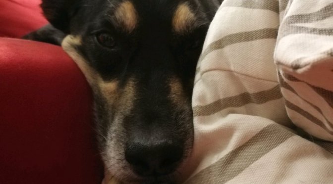 Endlich: Sommerpause 2018 ist vorbei