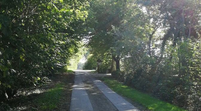 Kalifornien, Tag 4: Retro-Navigation gen Süden