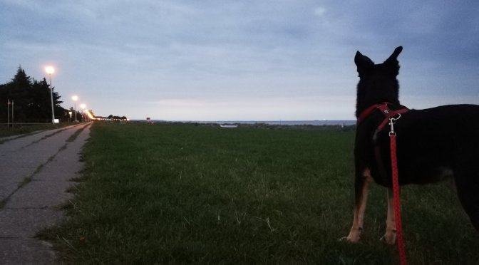 Kalifornien, Tag 5: Frei-Tag am Freitag