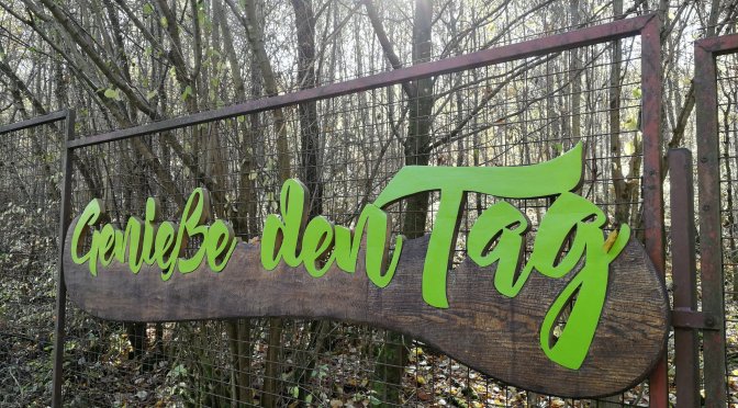 Zickzack 1: Balingen — Seerosengarten