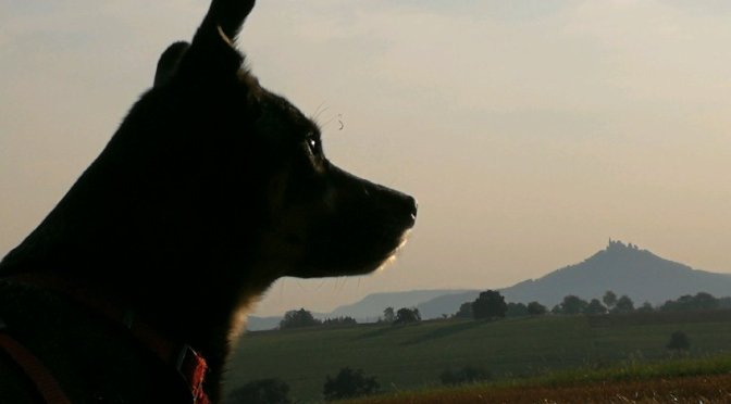 Luis‘ Jahresrückblick 2018, Teil 2