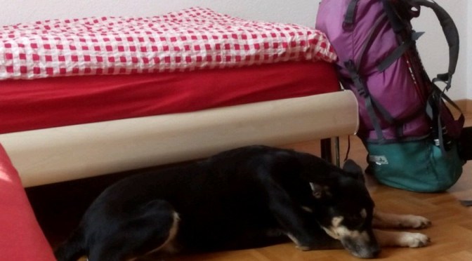 Via Jacobi 2019: Übernachtungen (mit Hund)