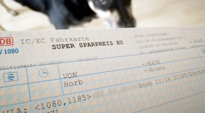 Bahn, Hund und Fahrkarte: Ein Drama in 8 Akten