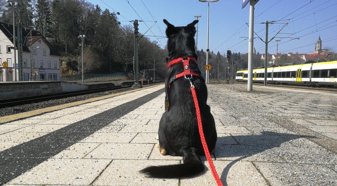 Via Jacobi 2019: Los geht’s! Jetzt wirklich.