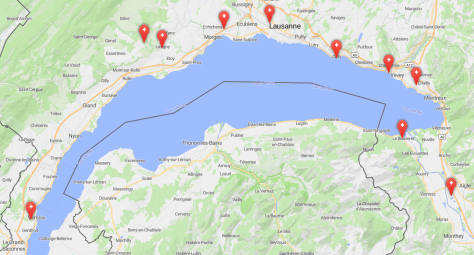 BnbCH-chien-autorise