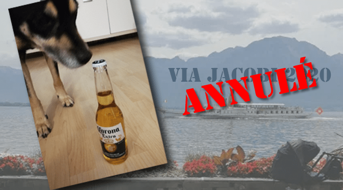 Via Jacobi 2020: Die Verschiebung (mit Hund)