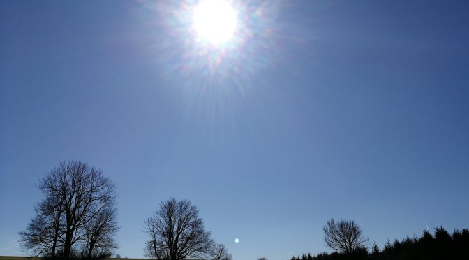 Via Nocobi 2020: Abschlusstraining (mit Hund)