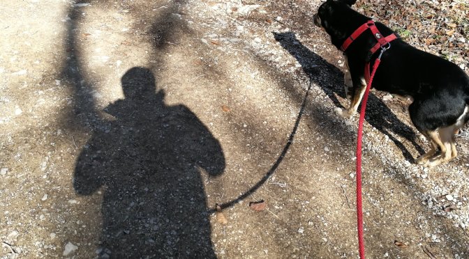 Via Nocobi: Klippeneck-Steig