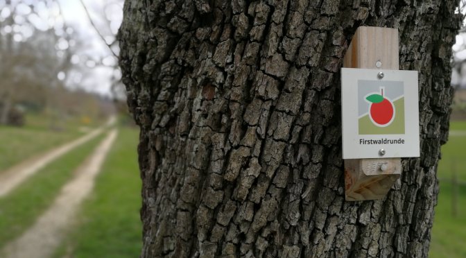 Via Nocobi: Firstwaldrunde Mössingen