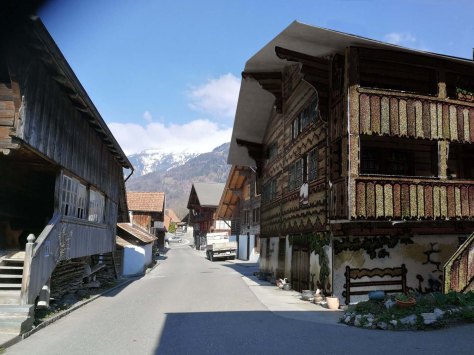 Modellbogen_Berner-Bauernhaus_Modell