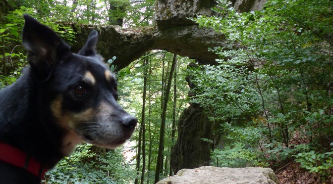 Altmühltal mit Hund 1: Panoramaweg Kinding – Unteremmendorf