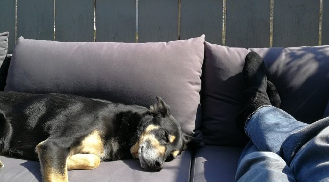 Luis‘ Jahresrückblick 2020