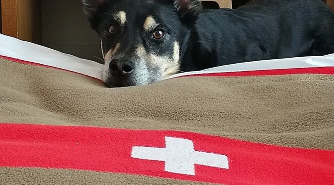 Via Jacobi 2022: Anreise, Unterkünfte, Etappen, Gepäck