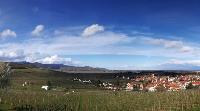 Elsass 2023 mit Hund: Ingersheim, wir kommen!