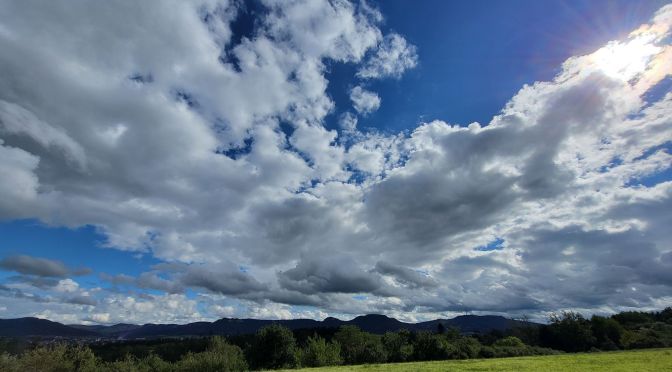 Bali(ngen) 2024: Pflanzen, Wellness & Wetter